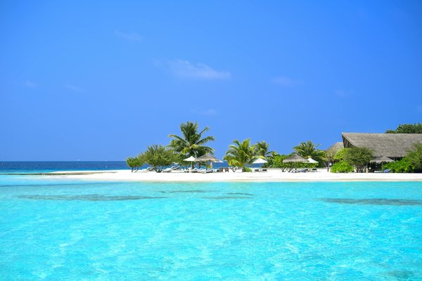 Cruceros Inolvidables para Aventureros de los Ma